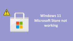 Microsoft Store? ???? 6 ?? ?? Windows 11 -Minitool?? ???? ????.