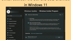 Windows 11?? Dev? Beta ?? ??? ??