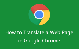 如何在Google Chrome中翻譯網頁