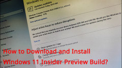 So installieren/upgraden Sie auf Windows 11 Insider -Vorschau sicher/upgraden Sie sicher