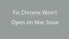 Google ?? ????? 5 ?? ???? Mac?? ??? ????.