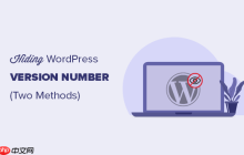 刪除WordPress版本號(hào)的正確方法