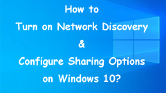 How to Turn on Network Discovery and Configure Sharing Options?