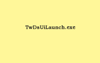 什麼是twdsuilaunch.exe,您應該刪除它嗎?