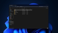 Microsoft: Jalankan skrip PS sekarang jika anda memadamkan 'inetpub' pada Windows 11, Windows 10