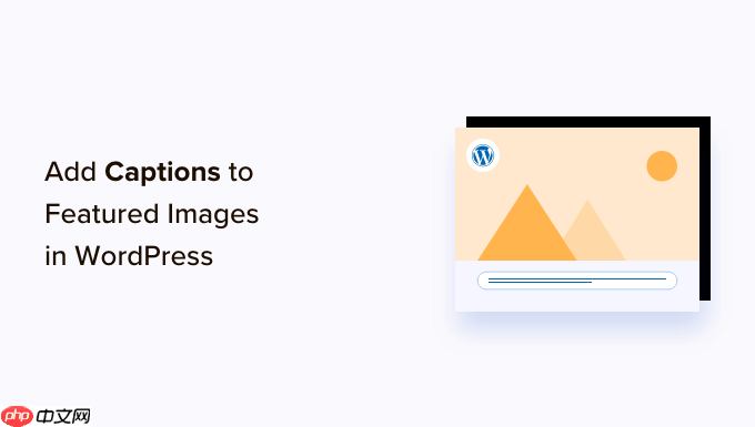 如何在 WordPress 中為精選圖像添加標(biāo)題-小浪學(xué)習(xí)網(wǎng)