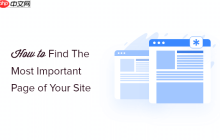如何找到 WordPress 网站最重要的页面