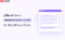 如何设置 WordPress 帖子的最低字数