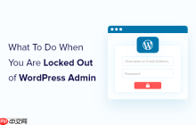 当您被锁定在 WordPress 管理员 (wp-admin) 之外时该怎么办