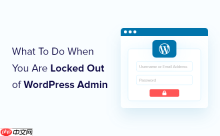 当您被锁定在 WordPress 管理员 (wp-admin) 之外时该怎么办