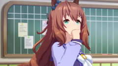 Umamusume Pretty Derby Career Guide
