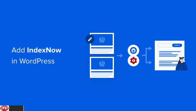 如何在 WordPress 中添加 IndexNow 来加速 SEO 结果-小浪学习网