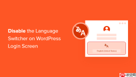 如何禁用 WordPress 登录屏幕上的语言切换器