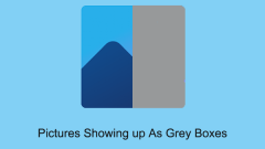 Pictures Showing up As Grey Boxes? Fix It Now - MiniTool