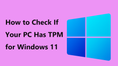 Suchen Sie genaue Schritte für Windows 11 TPM Check und aktivieren Sie es einfach