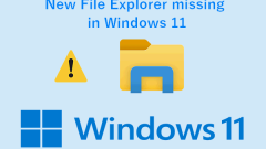 Windows 11?? ? ?? ???? ?? ? ??? ? ?