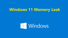 Windows 11 ??? ?? : ?? ???? ??? ??? ???? -Minitool