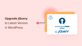 如何在 WordPress 中将 jQuery 升级到最新版本