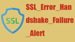 Fix Error Code 'SSL_Error_Handshake_Failure_Alert” in Browsers - MiniTool