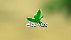 How to get Aloe Vera in Grow a Garden