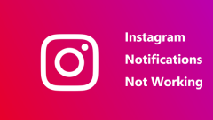Instagram Notifications Not Working on iPhone? Top Ways to Fix!