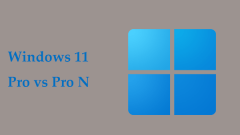 Must-Know Things on Windows 11 Pro vs Pro N, Which to Install