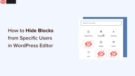 如何在 WordPress 编辑器中隐藏特定用户的阻止