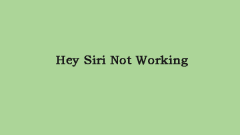 Is Hey Siri Not Working on iPhone? Follow the Guide to Fix It! - MiniTool