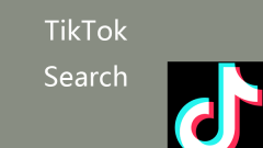 TikTok Search: How to Search for a User or Videos on TikTok