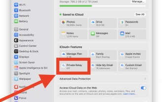 Comment activer le relais privé iCloud sur Mac