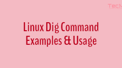 10 Dig (Domain Information Groper) Commands to Query DNS