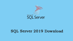 SQL Server 2019 Download & Install – Step by Step Guide - MiniTool
