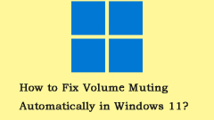How to Fix Volume Muting Automatically in Windows 11? - MiniTool