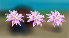 How to get Paradise Petal in Grow a Garden