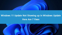 Fix Windows 11 Not Showing up in Windows Update with a Few Steps