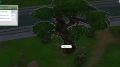 Mysterious Tree Location in The Sims 4