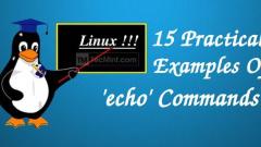 15 Practical Examples of 'echo' command in Linux