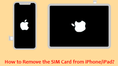 How to Remove the SIM Card from iPhone/iPad? - Solved!
