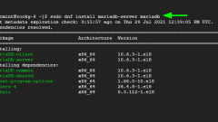 如何在Rocky Linux和Almalinux上安裝MariadB