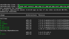 如何在Rocky Linux發(fā)行版上安裝PHP 7.4
