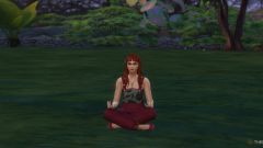 The Sims 4: Enchanted by Nature - Panduan Lengkap untuk Peri Fairies