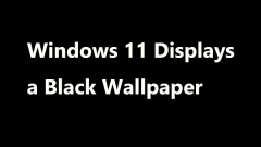 Windows 11 memaparkan kertas dinding hitam? Cepat menyelesaikannya dalam 5 cara