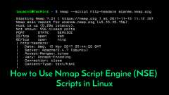 How to Use Nmap Script Engine (NSE) Scripts in Linux