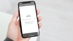So setzen Sie Ecosia als Standardsuchmaschine auf iPhone und iPad ein