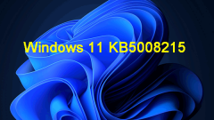 Windows 11 KB5008215? ??? ???? ? ???? ????? - Minitool