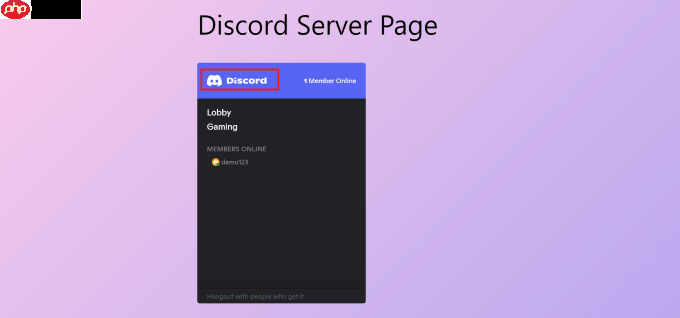 如何将 Discord Widget 嵌入 WordPress 中