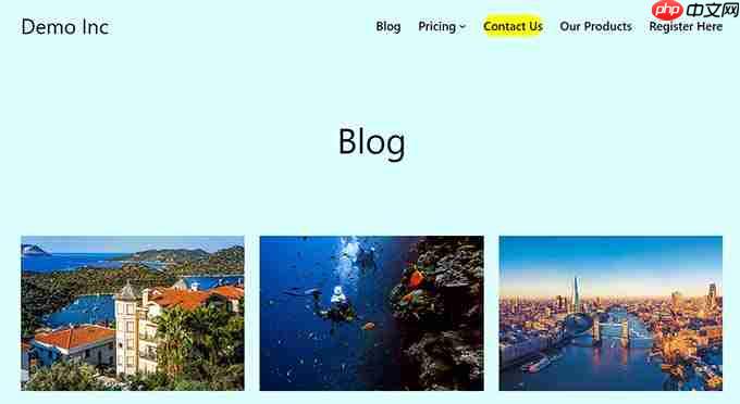 如何在 WordPress 中突出显示菜单项