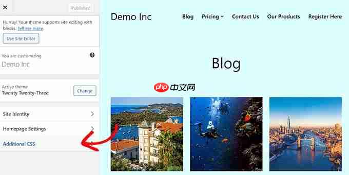 如何在 WordPress 中突出显示菜单项
