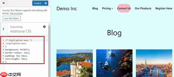 如何在 WordPress 中突出显示菜单项