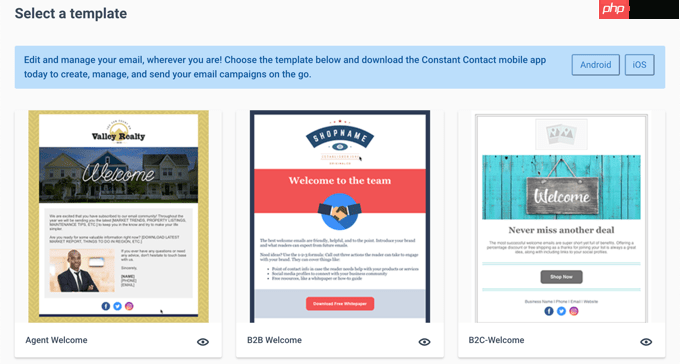 如何在 WordPress 中自动发送电子邮件